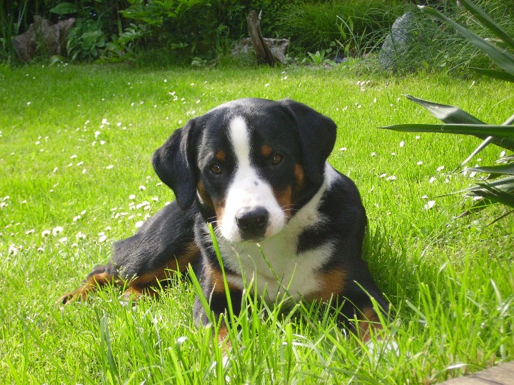 IMGP0240.JPG