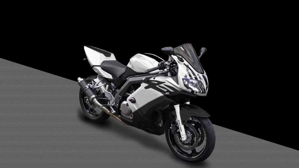 r6.jpg