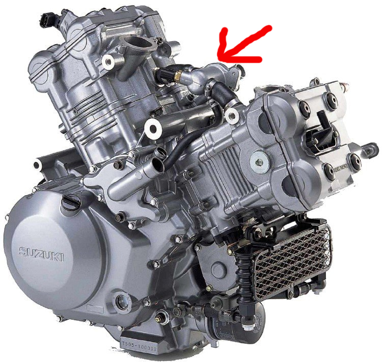 sv 1000 motor.jpg