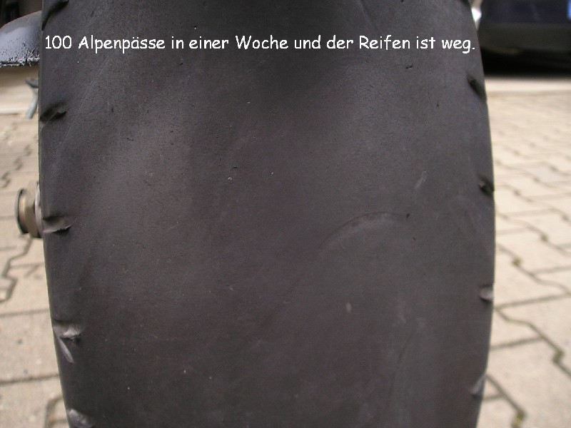 P1010117tk.jpg