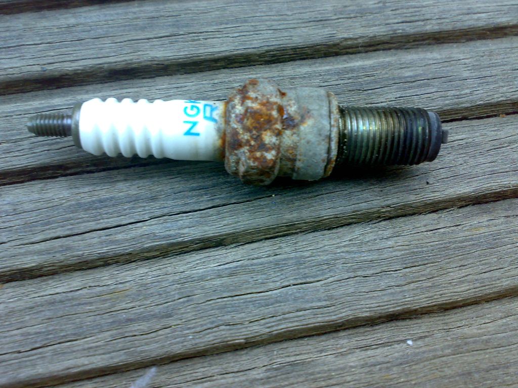 24052010179.jpg