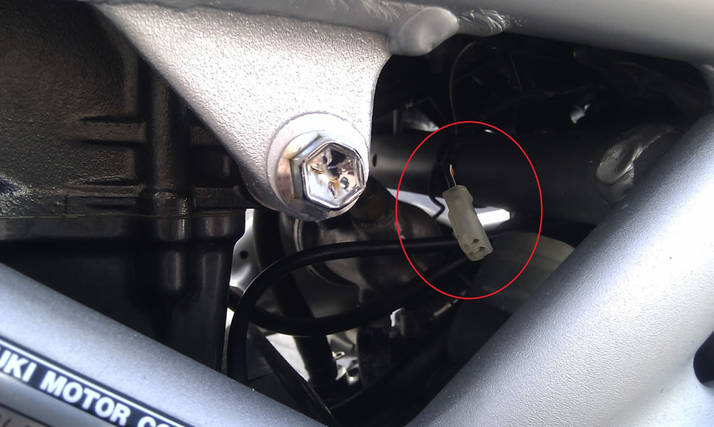 stecker_forum_01jpg.jpg